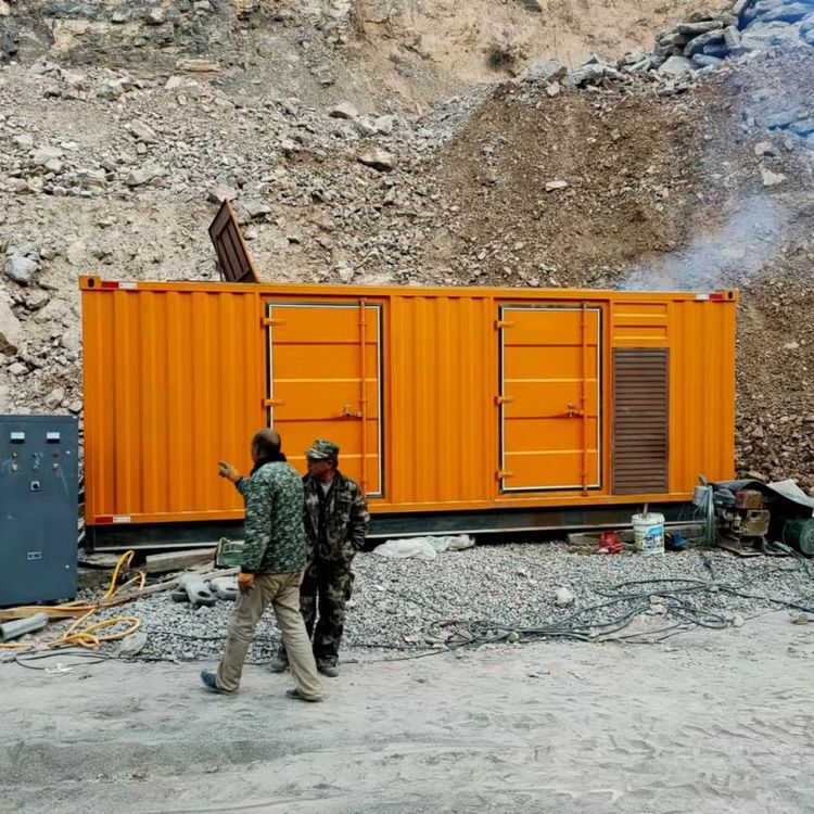 冯坡镇如何选择适合自己的 800KW 柴油发电机组？